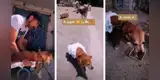 Le construye a su perro con discapacidad una silla de ruedas y escena conmueve las redes [VIDEO]