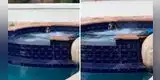 Perro es sorprendido 'relajándose' en el jacuzzi mientras su dueño no está en casa [VIDEO]