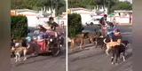 Hombre dedica su vida a rescatar a perros sin hogar desde hace diez años y conmueve a miles [VIDEO]