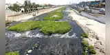 Río Rímac agoniza otra vez por la elevada contaminación [FOTOS Y VIDEO]
