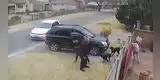 Perrita recibe balazo tras lanzarse contra delincuente para proteger a su dueño [VIDEO]