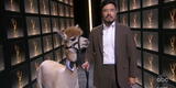 Emmy 2020: Randall Park subió al estrado acompañado de una alpaca [VIDEO]