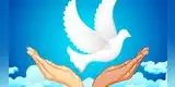¿Por qué se celebra el Día Internacional de la Paz?