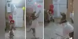 Familia festeja cumpleaños de su perrita y esta tiene cómica reacción al jugar con su ‘piñata’ [VIDEO]