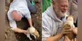 Perrita que se extravió se reencuentra con su dueño y ambos protagonizan emotiva escena [VIDEO]