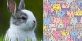 ¿Logras ver al conejo escondido en la imagen? El nuevo reto viral que pocos superan [FOTOS]