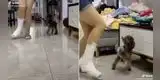 Perrito finge estar herido de una pata para 'solidarizarse' con su dueña lesionada [VIDEO]