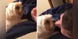 Perrita realiza cómico ‘berrinche’ cuando le prohíben que le de ‘besos’ al hijo de su dueña [VIDEO]