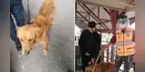 Perro se pierde en un tren subterráneo y trabajadores lo ayudan a encontrarse con su dueño [VIDEO]