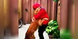 Una joven y su perro protagonizan tierno reencuentro tras estar separados por la cuarentena [VIDEO]