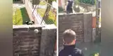 Perro 'juega' con un niño a la pelota y ambos enternecen las redes con emotivo momento [VIDEO]