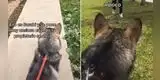 Joven enseña sencillo truco para que los perros no sientan ansiedad por separación [VIDEO]