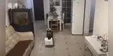 Conoce a Nuomi, el perro que recibe el 'delivery' cuando su dueño no está en casa [VIDEO]