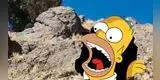Una piedra similar al rostro de Homero Simpson causa furor en Bolivia [VIDEO]