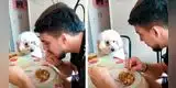 Perro no deja de observar a su dueño hasta que le invite un poco de su comida [VIDEO]