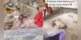 Joven rescata a gatito recién nacido que fue abandonado en la basura y así luce ahora [VIDEO]
