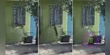 Perrito trata de entrar a su casa por la ventana, pero sufre aparatosa caída [VIDEO]