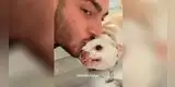 TikTok: Perro detesta que su dueño lo bese y así lo demuestra [VIDEO]