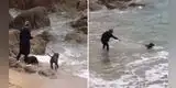 Perro se emociona al ver la playa por primera vez y termina jalando a su dueña al mar [VIDEO]