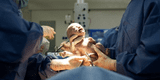 Recién nacido le ‘quita’ la mascarilla a un médico en un hospital de Emiratos Árabes Unidos [FOTO]