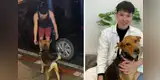 Joven regresa con un perro a su casa tras una borrachera y lo termina adoptando [VIDEO]
