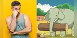 ¿Qué animal se encuentra al lado del elefante? El reto visual que pocos pueden resolver [FOTOS]