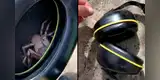 Encuentra una enorme araña en sus audífonos y comparte el aterrador momento en redes [VIDEO]