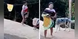 Perro ayuda con las tareas del hogar a su pequeña dueña y conmueve a todos [VIDEO]