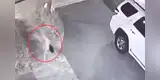 Captan a una persona caminando en 'cuatro patas' y perturbador momento asusta a miles [VIDEO]