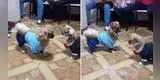 Perritos bailando 'marinera perruna' paralizan internet [VIDEO]