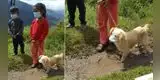 ¡Enternecedor! Niños llevan a vacunar a perrito con mascarilla y foto se hace viral