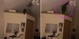 Gato trata de saltar a la cama de su dueña y termina chocando con el ventilador [VIDEO]