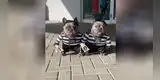 Perros realizan divertida parodia sobre el robo de un banco y divierten a todos en TikTok [VIDEO]