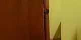 La curiosa insistencia de un perro al ver que su dueña se está pintando las uñas [VIDEO]
