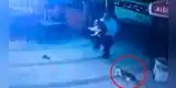 Gato ataca a un hombre y su perro cuando ingresaron a una tienda [VIDEO]