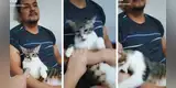 Mujer comparte cómico video junto a su gata tras 'descubrirla' en los brazos de su esposo [VIDEO]