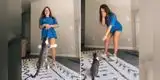 Gato interrumpe reto de baile de su dueña y se roba el show con su 'súper salto' [VIDEO]