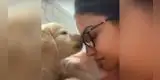Cachorro demuestra todo el amor que le tiene a su dueña dándole besos en la frente [VIDEO]