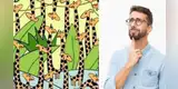 Reto visual extremo: ¿Eres capaz de ver a la serpiente camuflada entre las jirafas? [FOTOS]