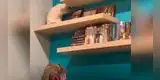 Gato intenta llamar la atención de su dueño con inusual comportamiento [VIDEO]