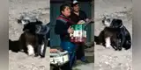 Perro escucha tocar a una banda en plena calle y trae a su ‘pareja’ para verlo juntos [VIDEO]