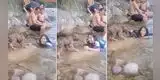 Perrito cree que su dueña se está ahogando y la jala de pelo para 'salvarla' [VIDEO]