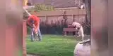 ¡Perro celoso! La curiosa actitud de un can cuando ve que le hacen cariño a su ‘amigo’ [VIDEO]