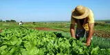 Actividades económicas del Perú: Agricultura