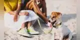 Mascotas: ¿Cómo atender a un perrito con discapacidad?