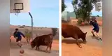 Captan a toro jugando baloncesto con su dueño y sorprendente hecho se vuelve viral [VIDEO]