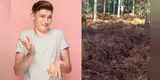 ¿Puedes ver al perro entre las hojas? El reto visual que pocos han podido resolver [FOTOS]