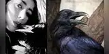 TikTok viral: vecinos llaman bruja a joven por tener un cuervo de mascota [VIDEO]