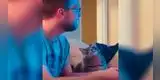La tierna manera de un gato para demostrar su amor hacia su dueño [VIDEO]