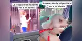 Perrita se emociona al ver a su dueña después de meses y tierna reacción conmueve a miles [VIDEO]